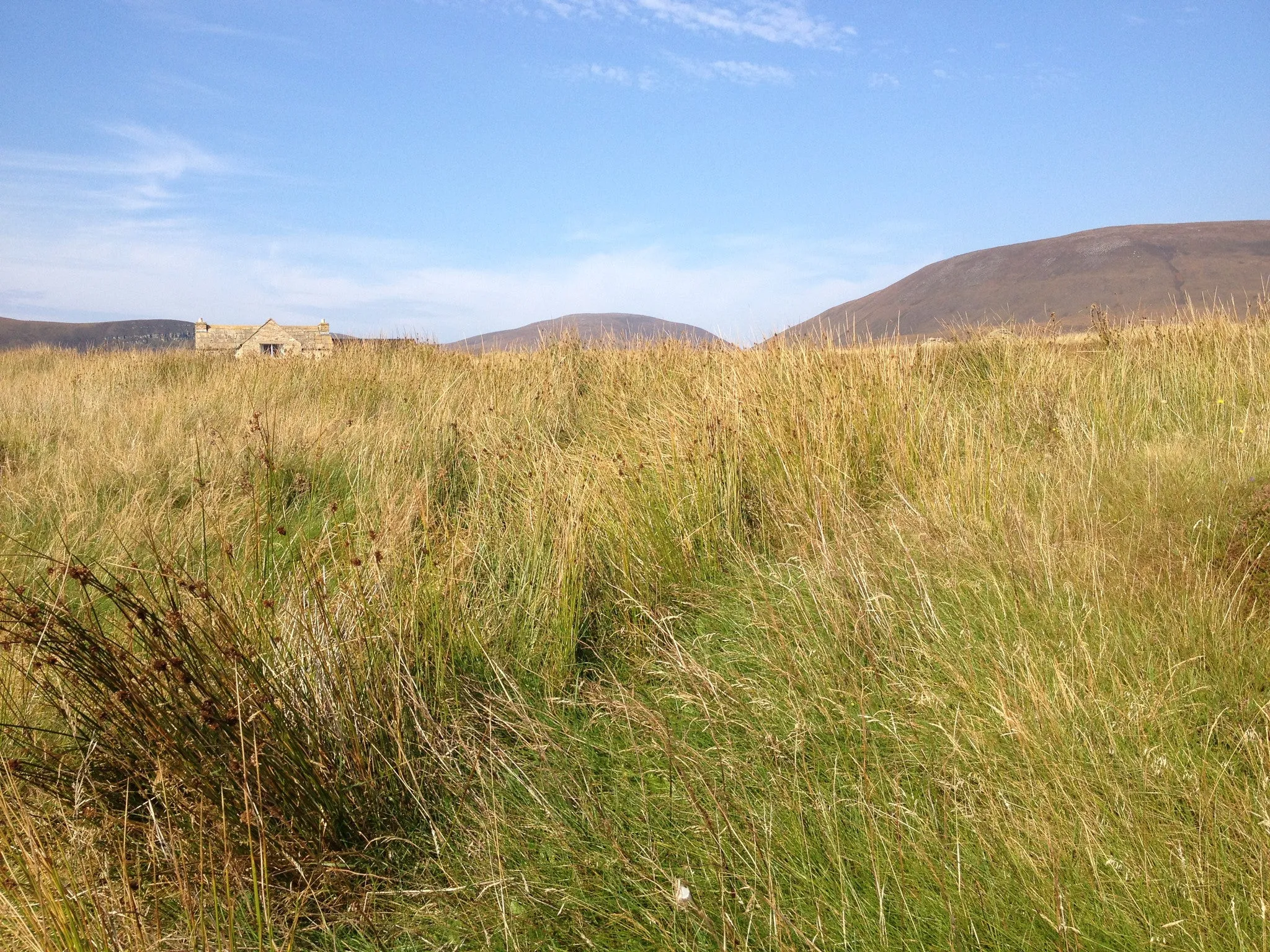 Orkney Landscape Trimneck Tunic in Rolling Hills