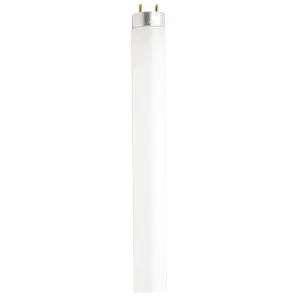 Satco S6547 Fluorescent T8 60 inch